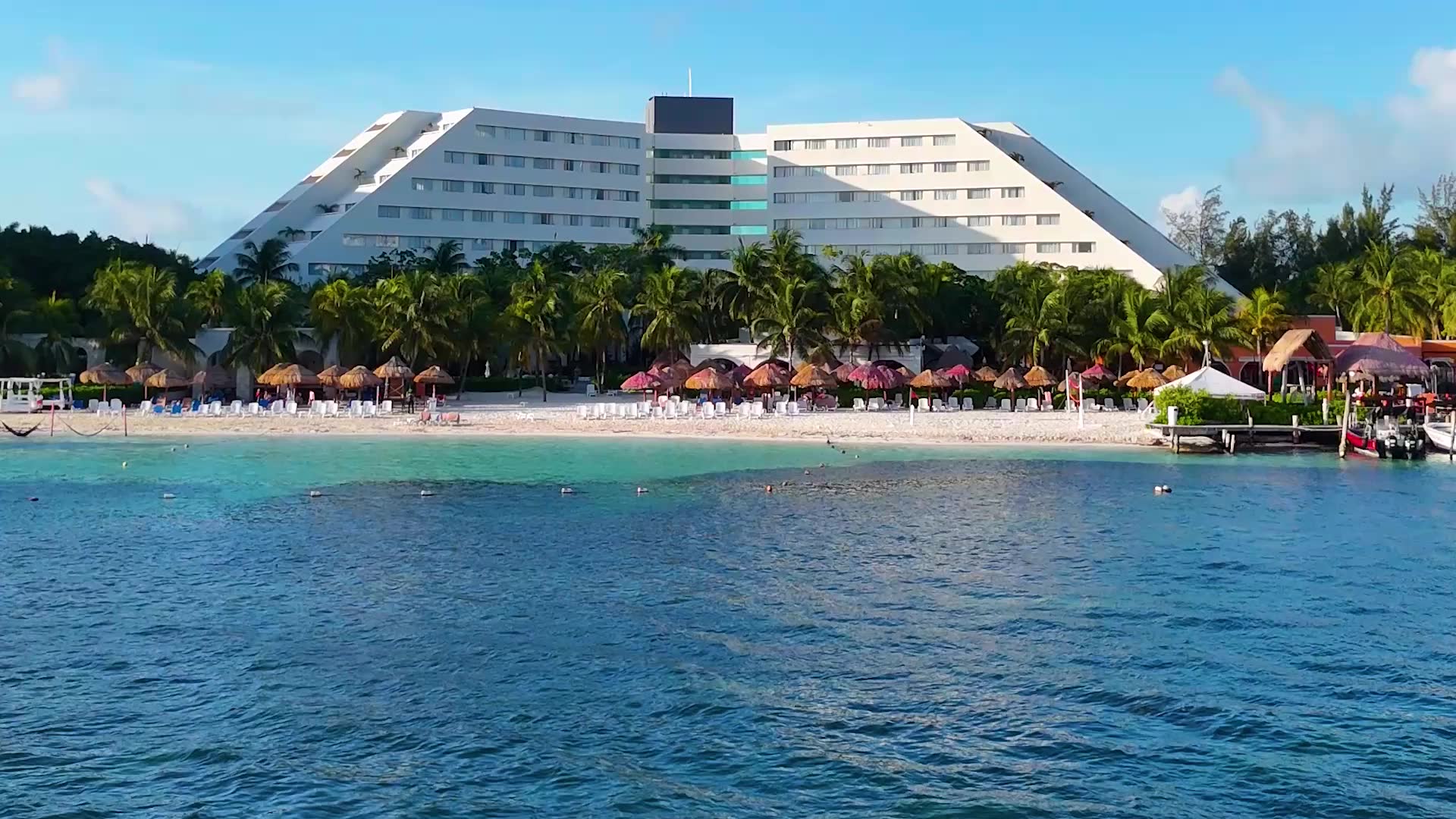 Grand Oasis Palm